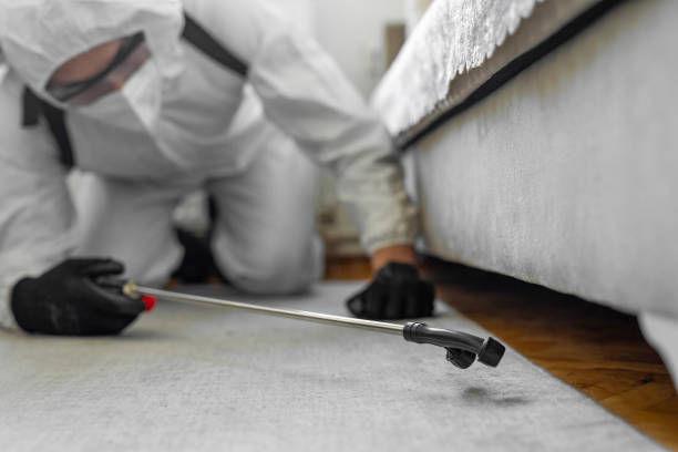 Professional Bed Bug Control technician working in Emmetsburg, IA