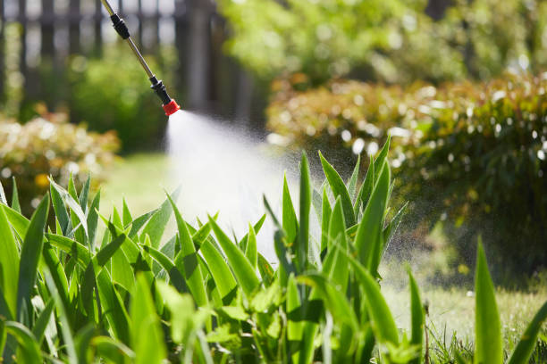 24/7 Emergency Bed Bug Control experts in Emmetsburg, IA