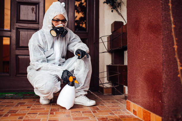 Reliable Bed Bug Control contractor in Emmetsburg, IA by Nex Pest Control