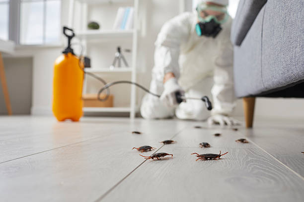 Trusted Cockroach Control service in Emmetsburg, IA - Nex Pest Control