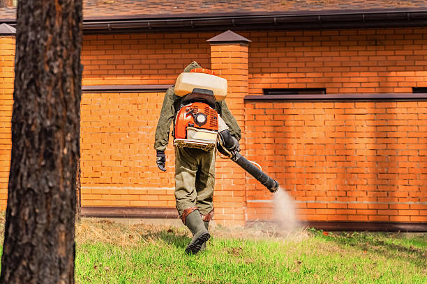 Trusted Termite Control service in Emmetsburg, IA - Nex Pest Control